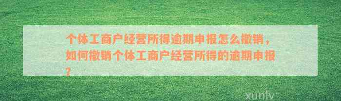 个体工商户经营所得逾期申报怎么撤销，如何撤销个体工商户经营所得的逾期申报？