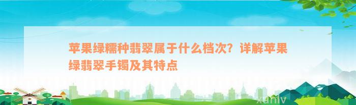 苹果绿糯种翡翠属于什么档次？详解苹果绿翡翠手镯及其特点