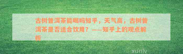 古树普洱茶能喝吗知乎，天气高，古树普洱茶是否适合饮用？——知乎上的观点解析