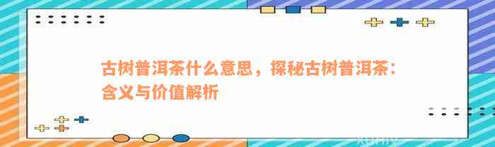 古树普洱茶什么意思，探秘古树普洱茶：含义与价值解析