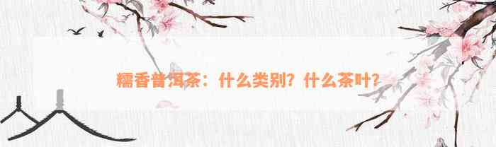 糯香普洱茶：什么类别？什么茶叶？