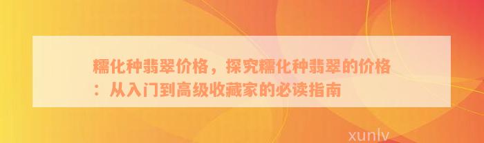 糯化种翡翠价格，探究糯化种翡翠的价格：从入门到高级收藏家的必读指南