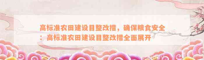 高标准农田建设目整改措，确保粮食安全：高标准农田建设目整改措全面展开