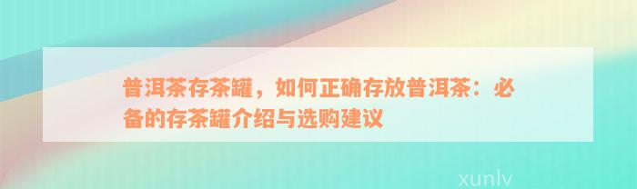 普洱茶存茶罐，如何正确存放普洱茶：必备的存茶罐介绍与选购建议