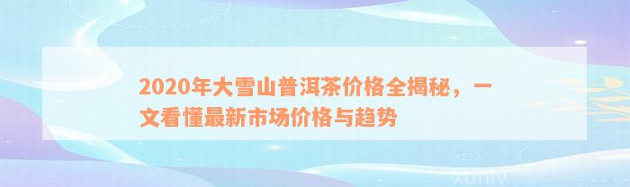 2020年大雪山普洱茶价格全揭秘，一文看懂最新市场价格与趋势