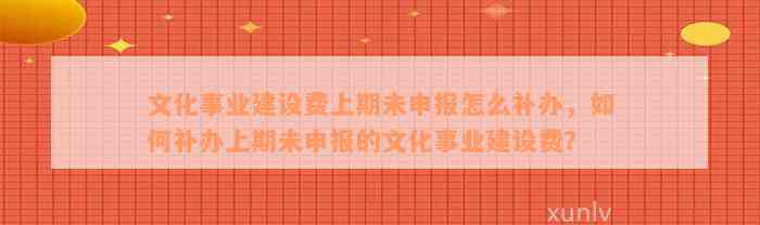 文化事业建设费上期未申报怎么补办，如何补办上期未申报的文化事业建设费？