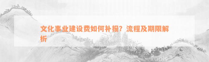 文化事业建设费如何补报？流程及期限解析