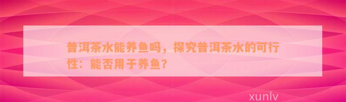 普洱茶水能养鱼吗，探究普洱茶水的可行性：能否用于养鱼？