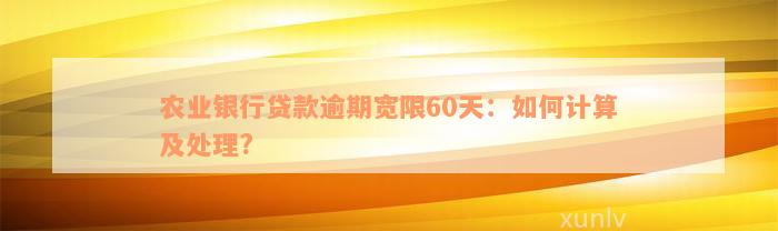 农业银行贷款逾期宽限60天：如何计算及处理?