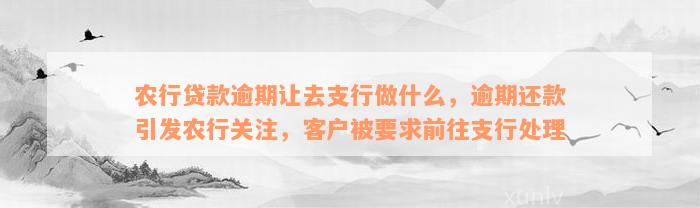 农行贷款逾期让去支行做什么，逾期还款引发农行关注，客户被要求前往支行处理