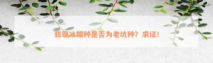 翡翠冰糯种是否为老坑种？求证！