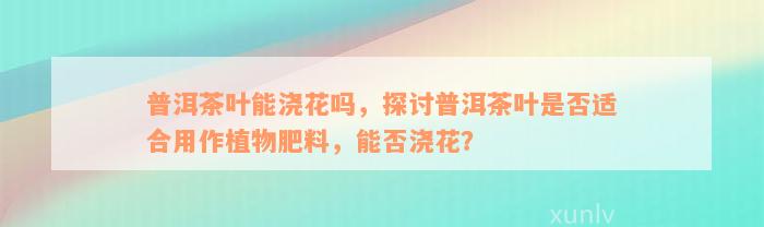 普洱茶叶能浇花吗，探讨普洱茶叶是否适合用作植物肥料，能否浇花？