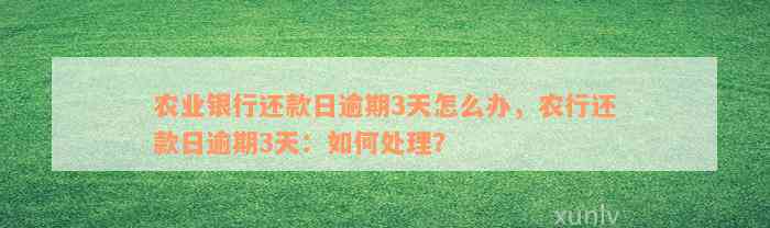 农业银行还款日逾期3天怎么办，农行还款日逾期3天：如何处理？