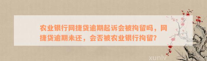 农业银行网捷贷逾期起诉会被拘留吗，网捷贷逾期未还，会否被农业银行拘留？