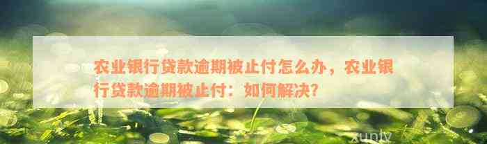 农业银行贷款逾期被止付怎么办，农业银行贷款逾期被止付：如何解决？