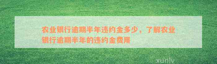 农业银行逾期半年违约金多少，了解农业银行逾期半年的违约金费用