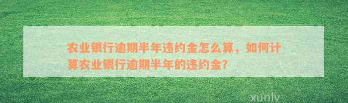 农业银行逾期半年违约金怎么算，如何计算农业银行逾期半年的违约金？