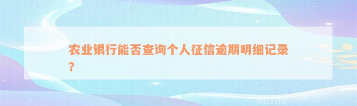 农业银行能否查询个人征信逾期明细记录？