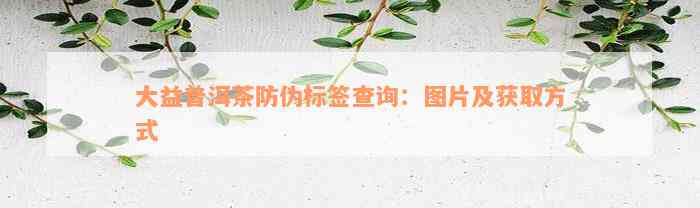 大益普洱茶防伪标签查询：图片及获取方式