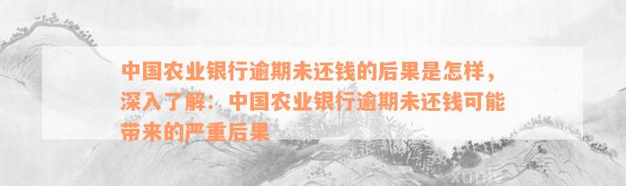 中国农业银行逾期未还钱的后果是怎样，深入了解：中国农业银行逾期未还钱可能带来的严重后果