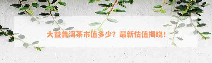 大益普洱茶市值多少？最新估值揭晓！