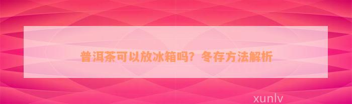 普洱茶可以放冰箱吗？冬存方法解析