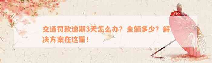 交通罚款逾期3天怎么办？金额多少？解决方案在这里！