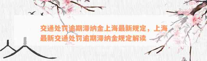 交通处罚逾期滞纳金上海最新规定，上海最新交通处罚逾期滞纳金规定解读