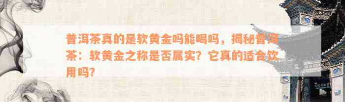 普洱茶真的是软黄金吗能喝吗，揭秘普洱茶：软黄金之称是否属实？它真的适合饮用吗？