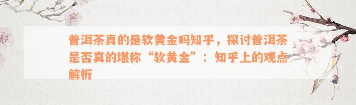 普洱茶真的是软黄金吗知乎，探讨普洱茶是否真的堪称“软黄金”：知乎上的观点解析