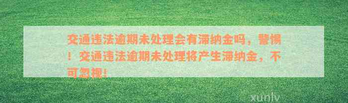 交通违法逾期未处理会有滞纳金吗，警惕！交通违法逾期未处理将产生滞纳金，不可忽视！