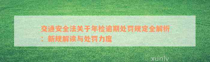 交通安全法关于年检逾期处罚规定全解析：新规解读与处罚力度