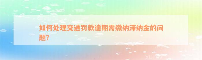 如何处理交通罚款逾期需缴纳滞纳金的问题？