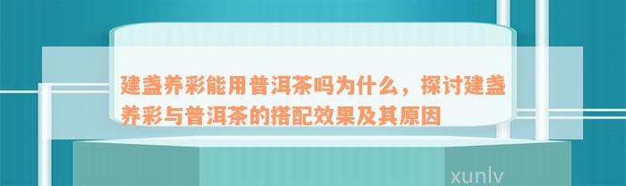 建盏养彩能用普洱茶吗为什么，探讨建盏养彩与普洱茶的搭配效果及其原因