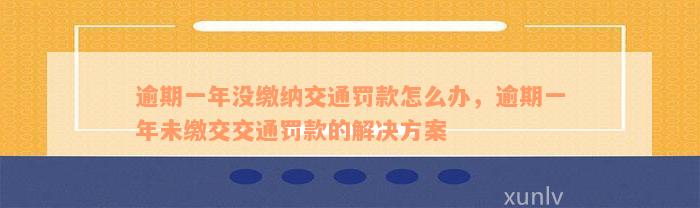 逾期一年没缴纳交通罚款怎么办，逾期一年未缴交交通罚款的解决方案