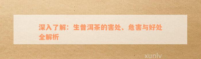 深入了解：生普洱茶的害处、危害与好处全解析