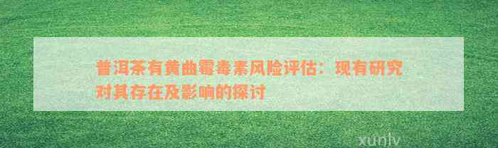 普洱茶有黄曲霉毒素风险评估：现有研究对其存在及影响的探讨