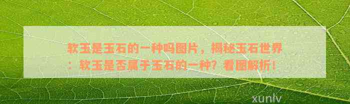 软玉是玉石的一种吗图片，揭秘玉石世界：软玉是否属于玉石的一种？看图解析！