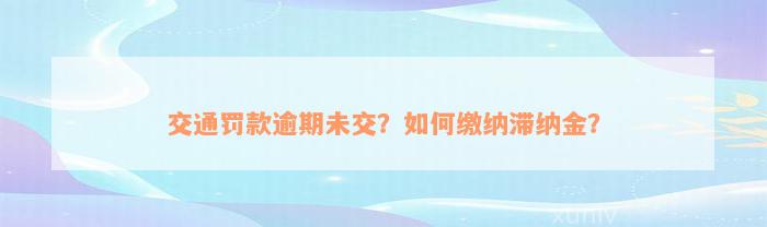 交通罚款逾期未交？如何缴纳滞纳金？