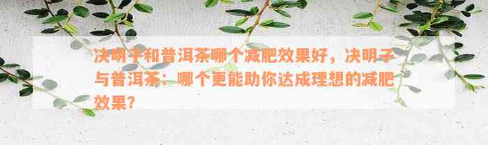 决明子和普洱茶哪个减肥效果好，决明子与普洱茶：哪个更能助你达成理想的减肥效果？