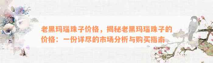 老黑玛瑙珠子价格，揭秘老黑玛瑙珠子的价格：一份详尽的市场分析与购买指南