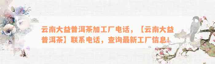 云南大益普洱茶加工厂电话，【云南大益普洱茶】联系电话，查询最新工厂信息！