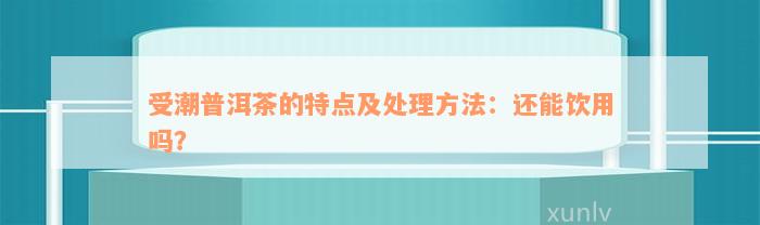 受潮普洱茶的特点及处理方法：还能饮用吗？