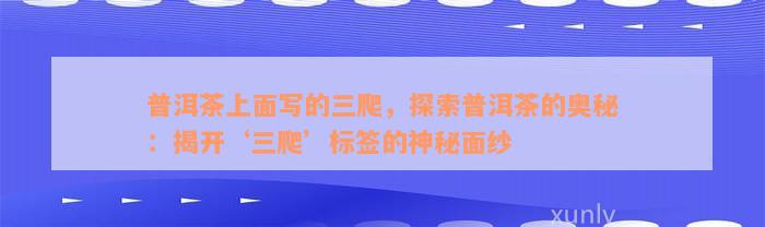 普洱茶上面写的三爬，探索普洱茶的奥秘：揭开‘三爬’标签的神秘面纱