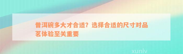 普洱碗多大才合适？选择合适的尺寸对品茗体验至关重要