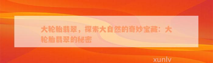 大轮胎翡翠，探索大自然的奇妙宝藏：大轮胎翡翠的秘密