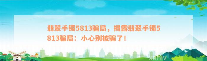 翡翠手镯5813骗局，揭露翡翠手镯5813骗局：小心别被骗了！