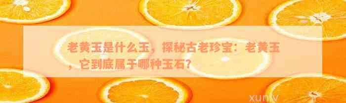 老黄玉是什么玉，探秘古老珍宝：老黄玉，它到底属于哪种玉石？