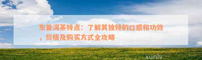 东普洱茶特点：了解其独特的口感和功效，价格及购买方式全攻略