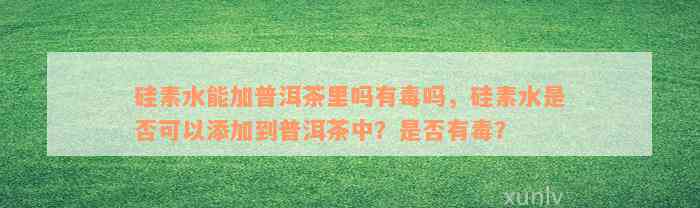 硅素水能加普洱茶里吗有毒吗，硅素水是否可以添加到普洱茶中？是否有毒？